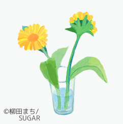 柳田まち