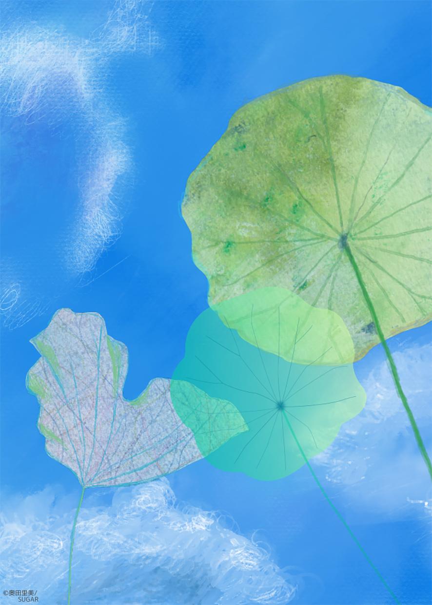 奥田さとみ