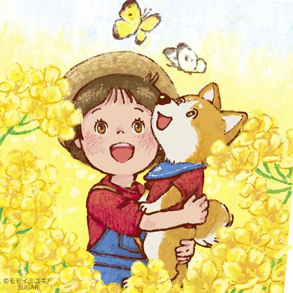 モモイミユキ