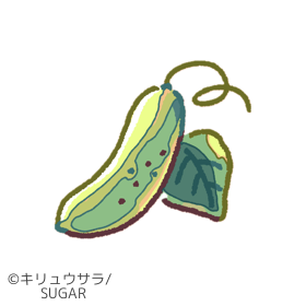 キリュウサラ